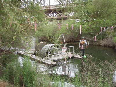 Man on specialized platform in water